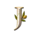 icon 10