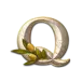 icon 9