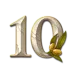 icon 11