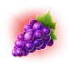icon 4