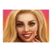 icon 13