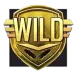 icon 10