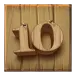 icon 10