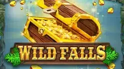 Wild Falls