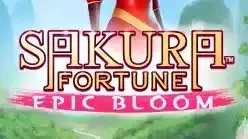 Sakura Fortune Epic Bloom