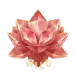 icon 12