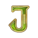 icon 14