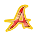 icon 5