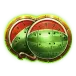 icon 4