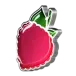 icon 5