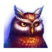 icon 2
