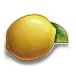icon 7