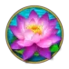 icon 3