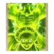 icon 11