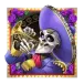 icon 3
