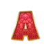 icon 6