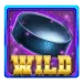 icon 9