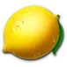 icon 7