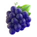 icon 5