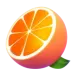 icon 3