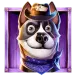 icon 2