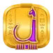 icon 9