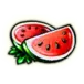 icon 4