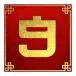 icon 13