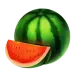 icon 2