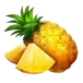 icon 4