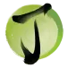 icon 9