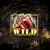 Bonus Buy Misery Free Spins - Mouse Mode