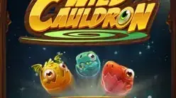 Wild Cauldron