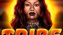 Tribe