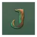 icon 10