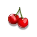 icon 5
