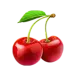 icon 5