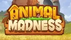 Animal Madness
