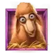 icon 2