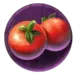 icon 6