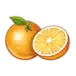 icon 5