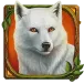 icon 4