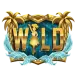 icon 1