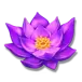 icon 3