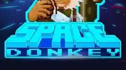 Space Donkey