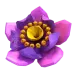 icon 4