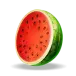 icon 4