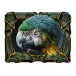 icon 4