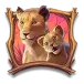 icon 3