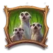 icon 5
